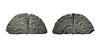 groat