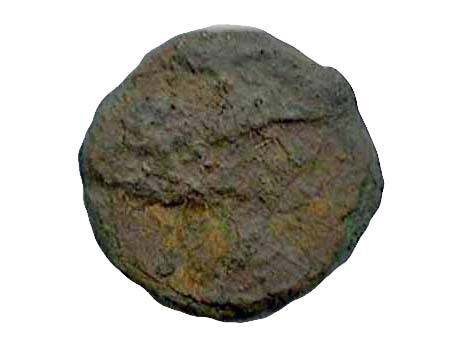 Munt