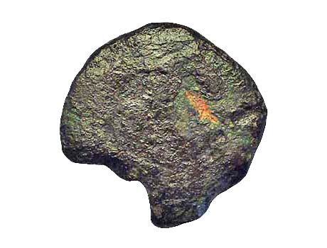 142-X1b