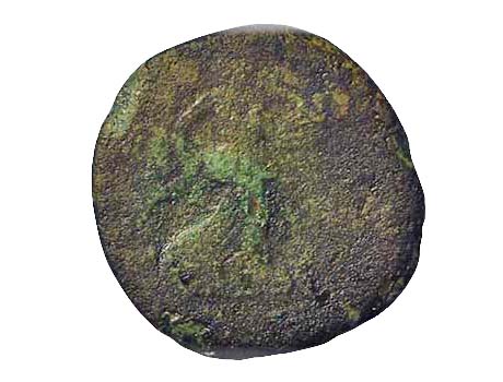 155-U33b