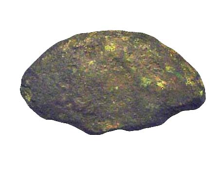 157-Y1b