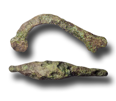 Fibula